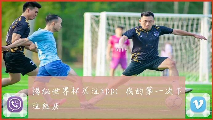 揭秘世界杯买注app：我的第一次下注经历