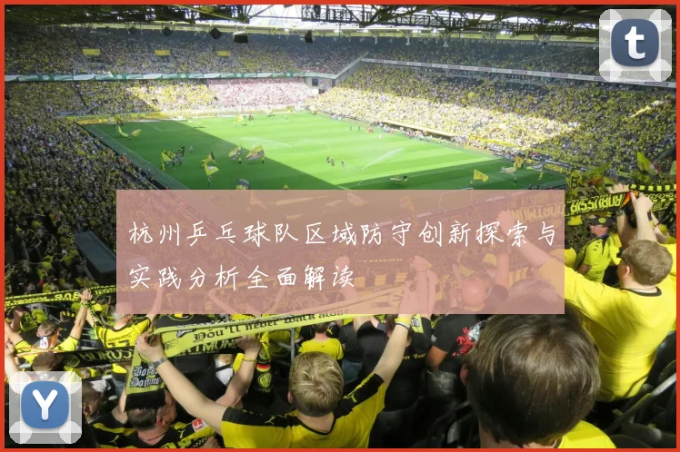 杭州乒乓球队区域防守创新探索与实践分析全面解读