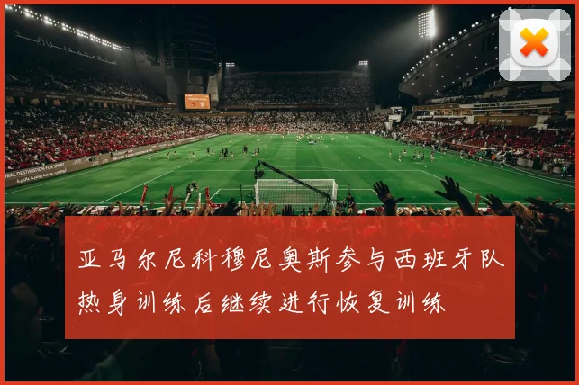 亚马尔尼科穆尼奥斯参与西班牙队热身训练后继续进行恢复训练