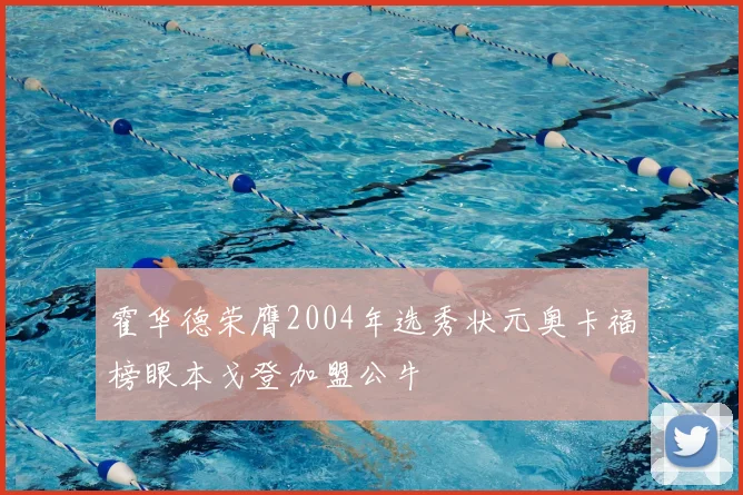 霍华德荣膺2004年选秀状元奥卡福榜眼本戈登加盟公牛