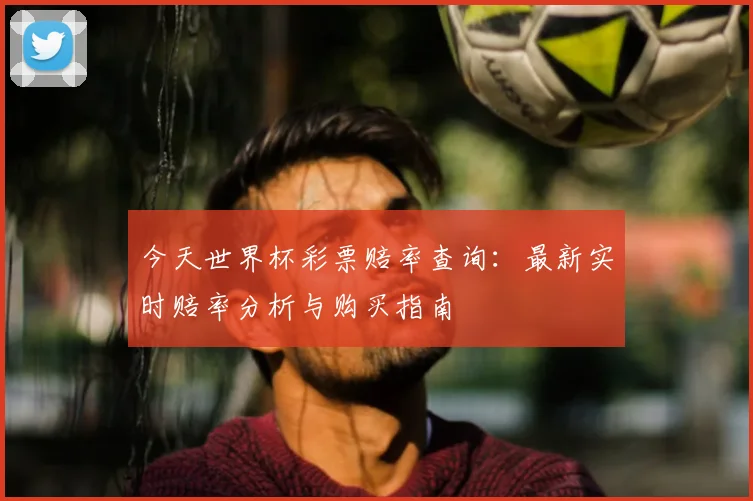 今天世界杯彩票赔率查询：最新实时赔率分析与购买指南